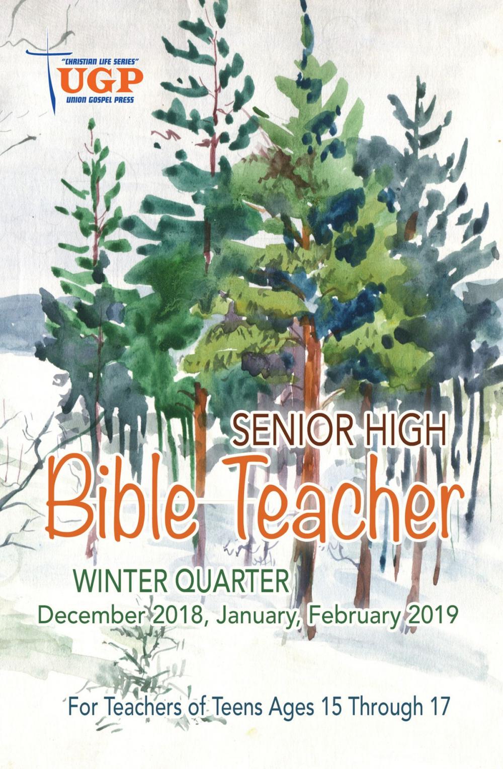 Big bigCover of Senior High Bible Teacher