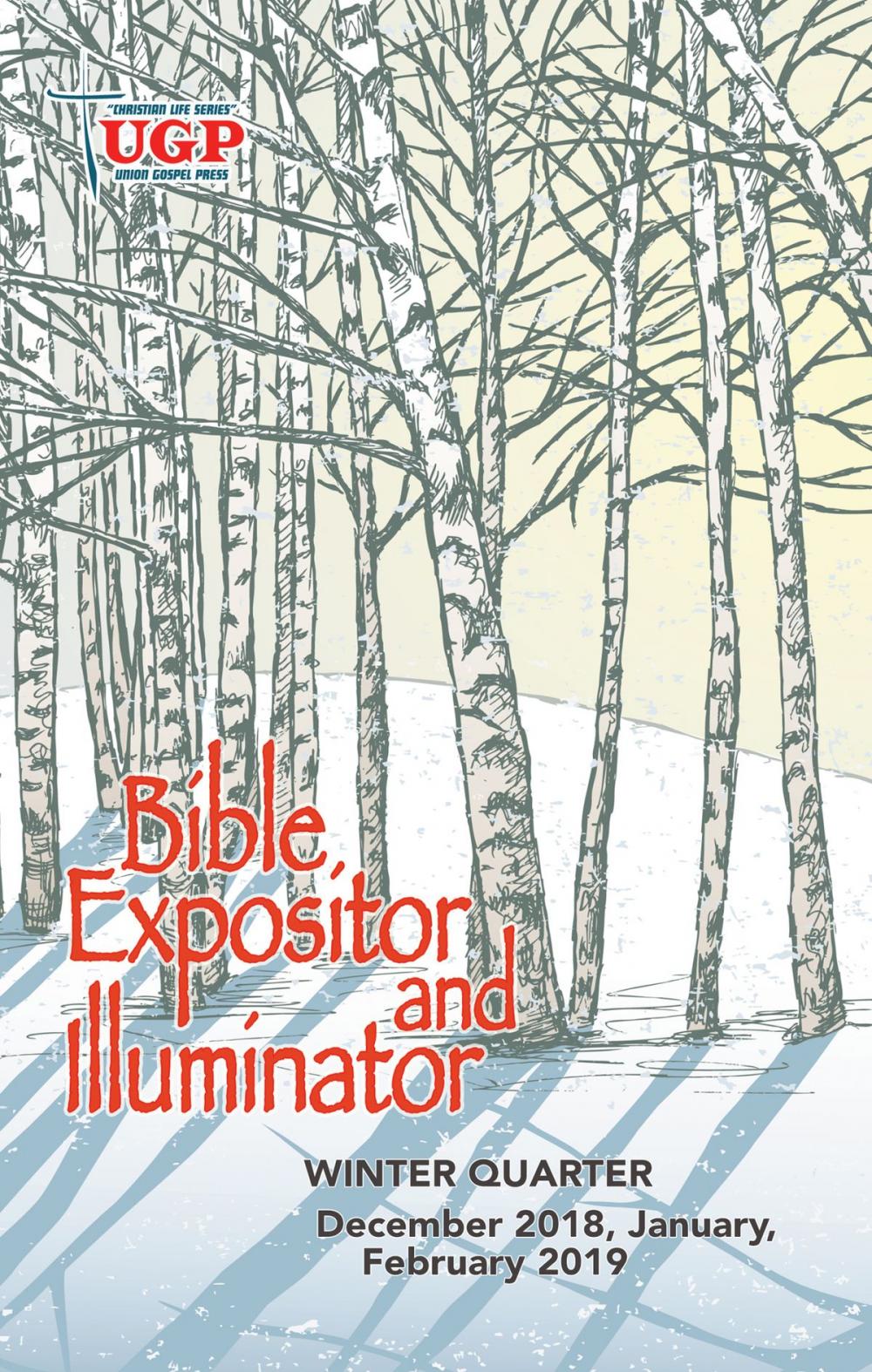 Big bigCover of Bible Expositor and Illuminator