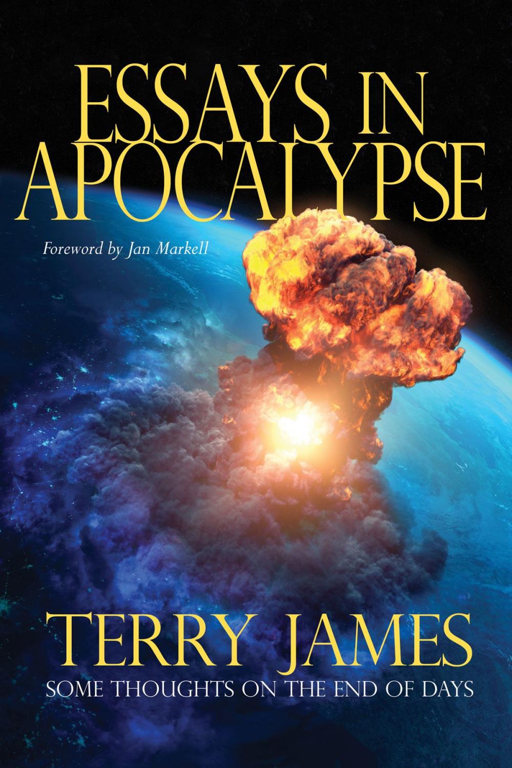 Big bigCover of Essays in Apocalypse