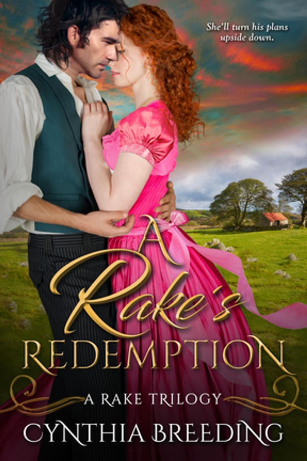 Big bigCover of A Rake's Redemption