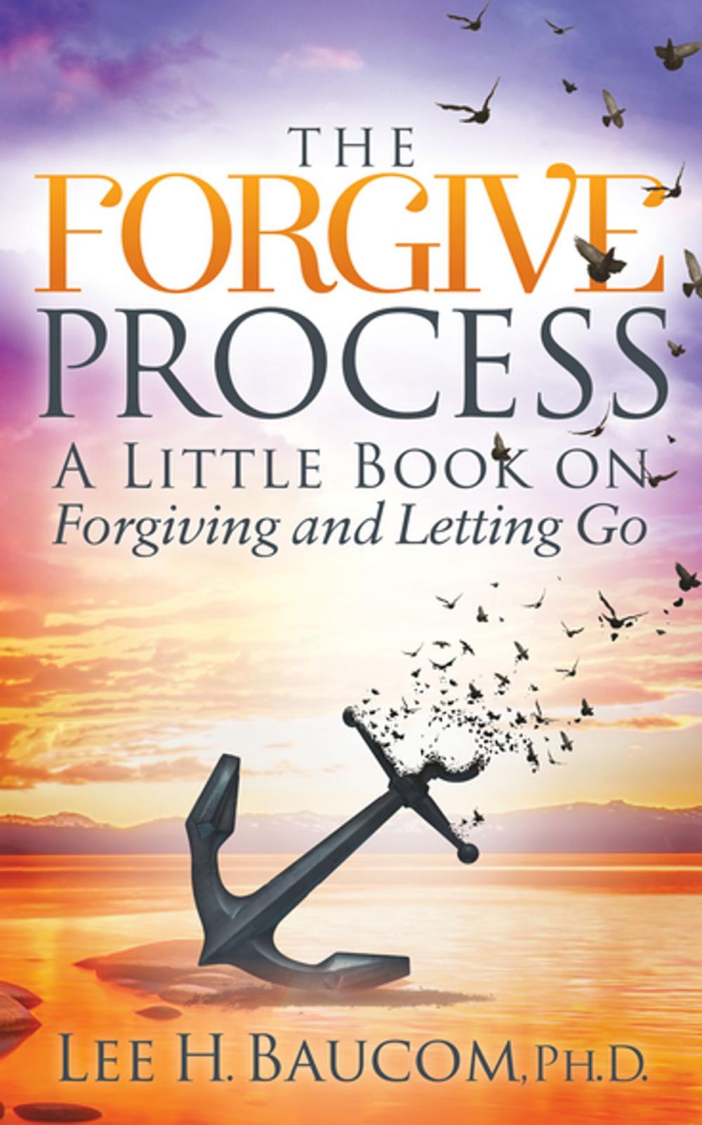 Big bigCover of The Forgive Process