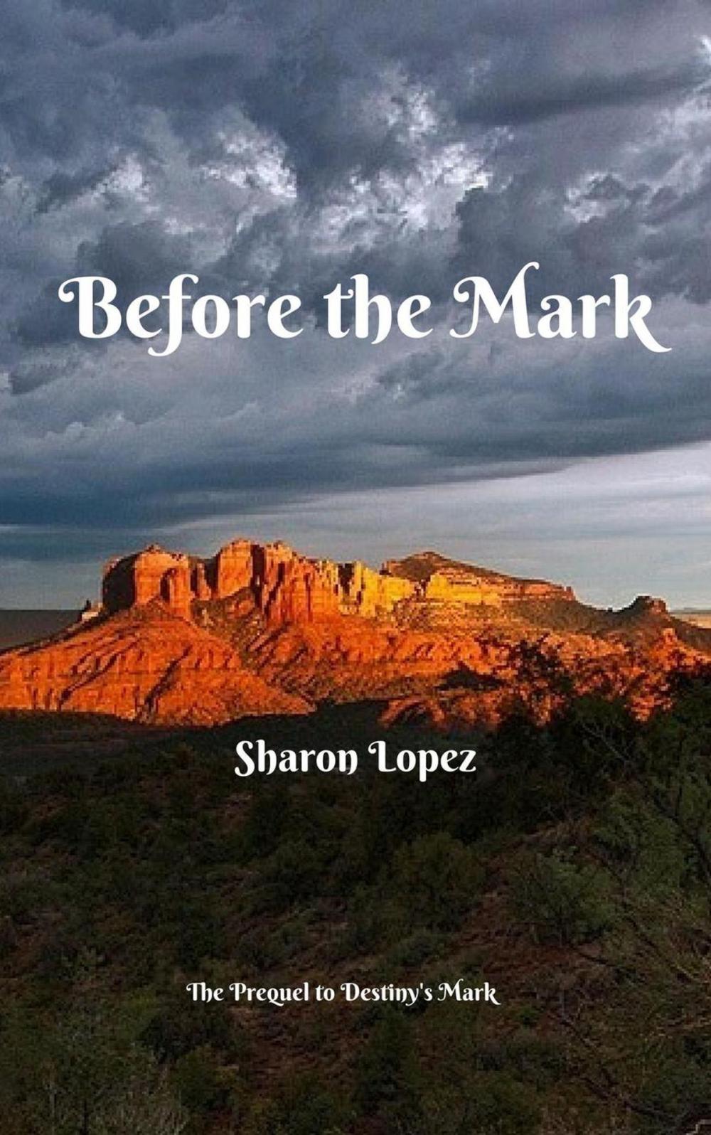 Big bigCover of Before the Mark