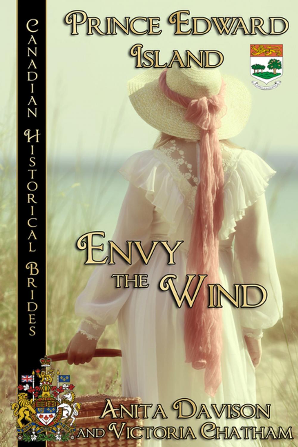 Big bigCover of Envy the Wind