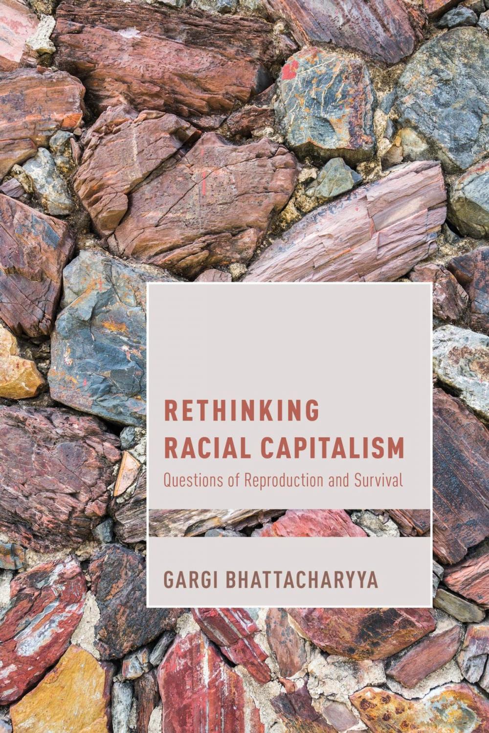 Big bigCover of Rethinking Racial Capitalism