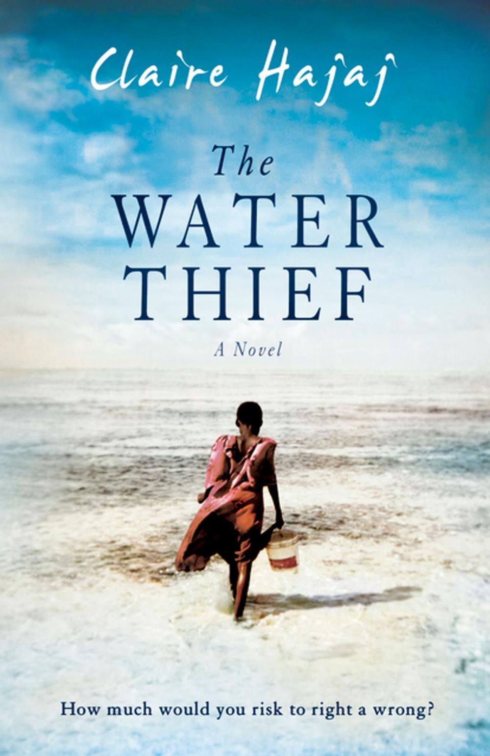 Big bigCover of The Water Thief