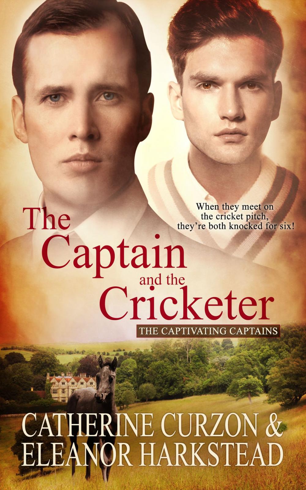 Big bigCover of The Captain and the Cricketer