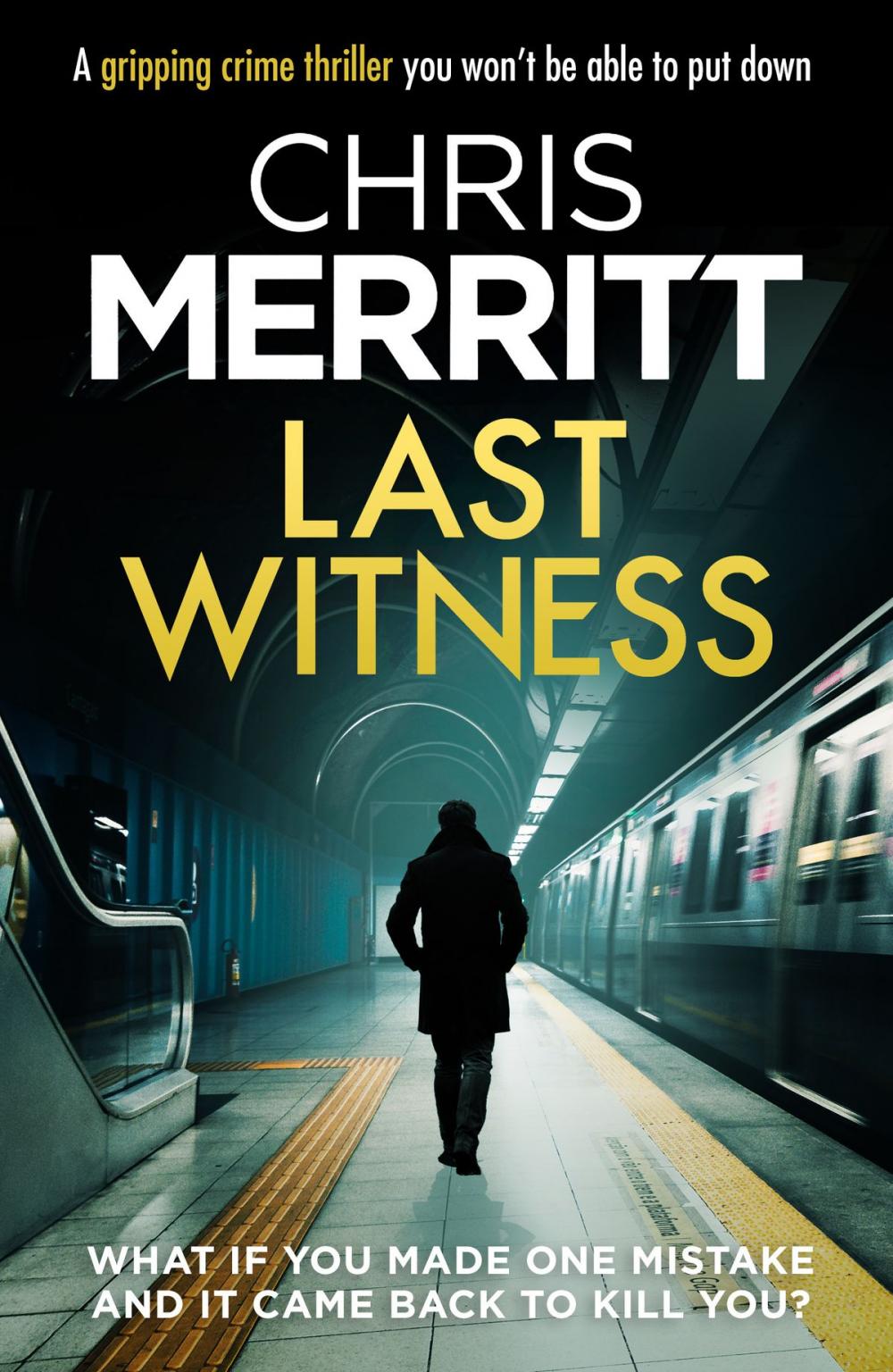 Big bigCover of Last Witness