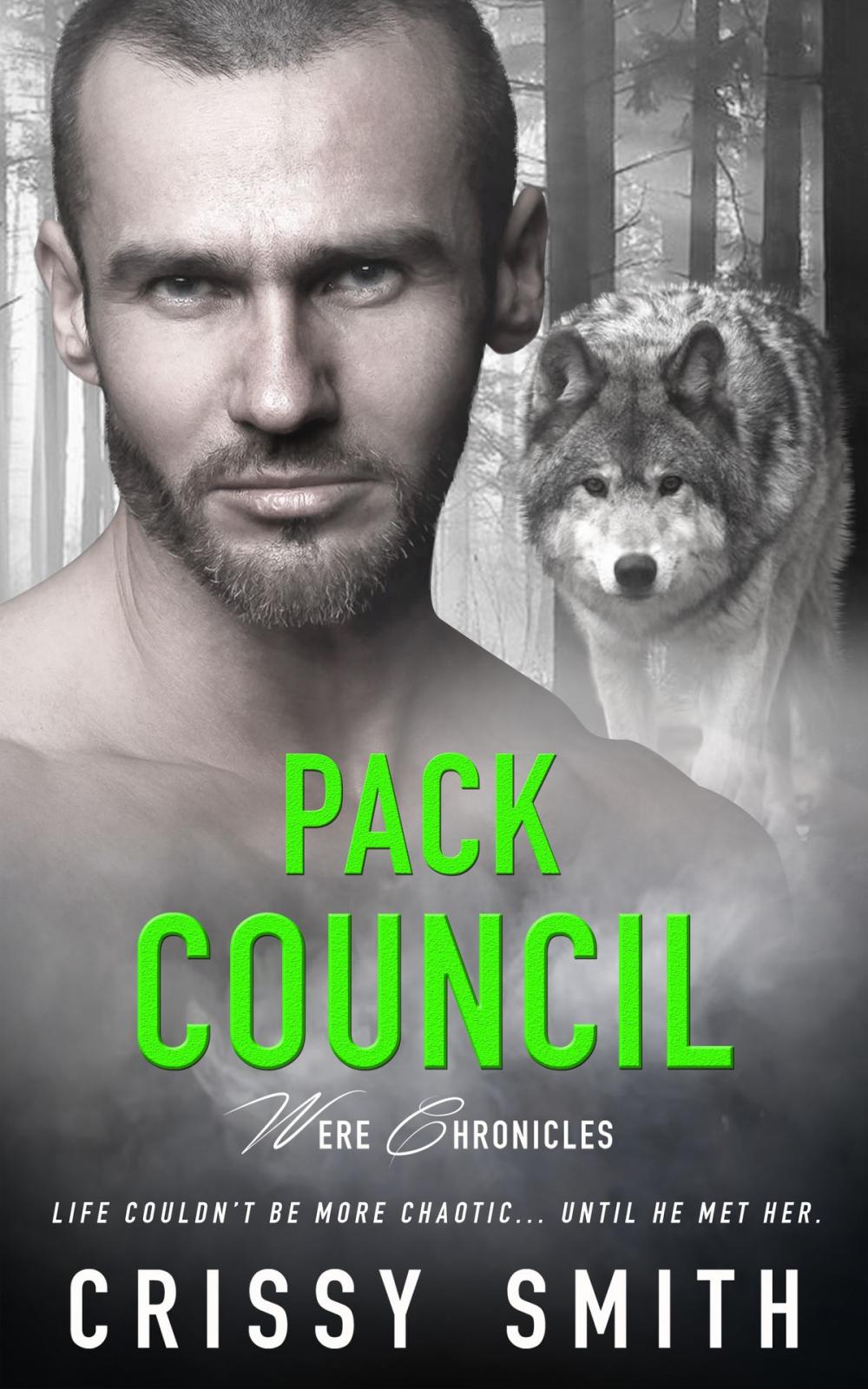 Big bigCover of Pack Council