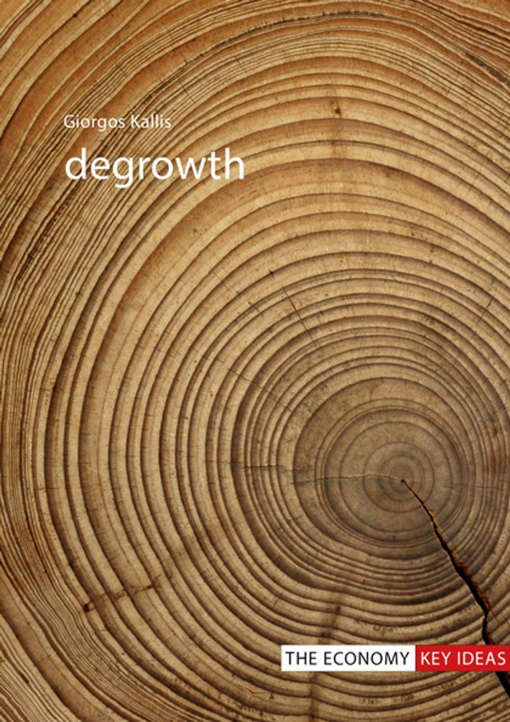 Big bigCover of Degrowth