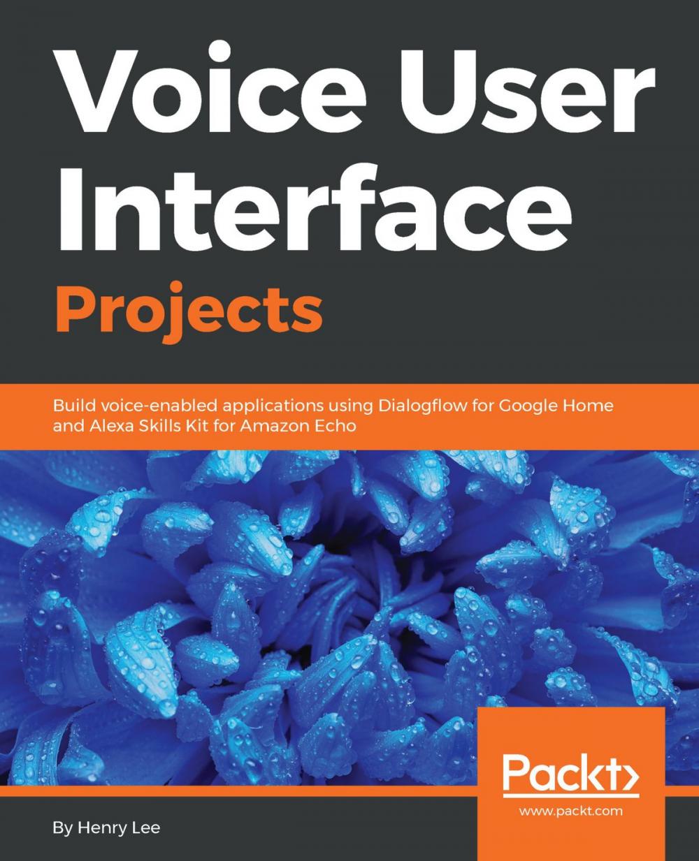 Big bigCover of Voice User Interface Projects