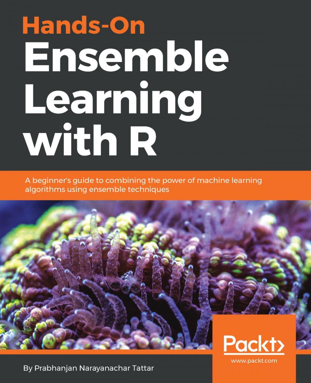 Big bigCover of Hands-On Ensemble Learning with R