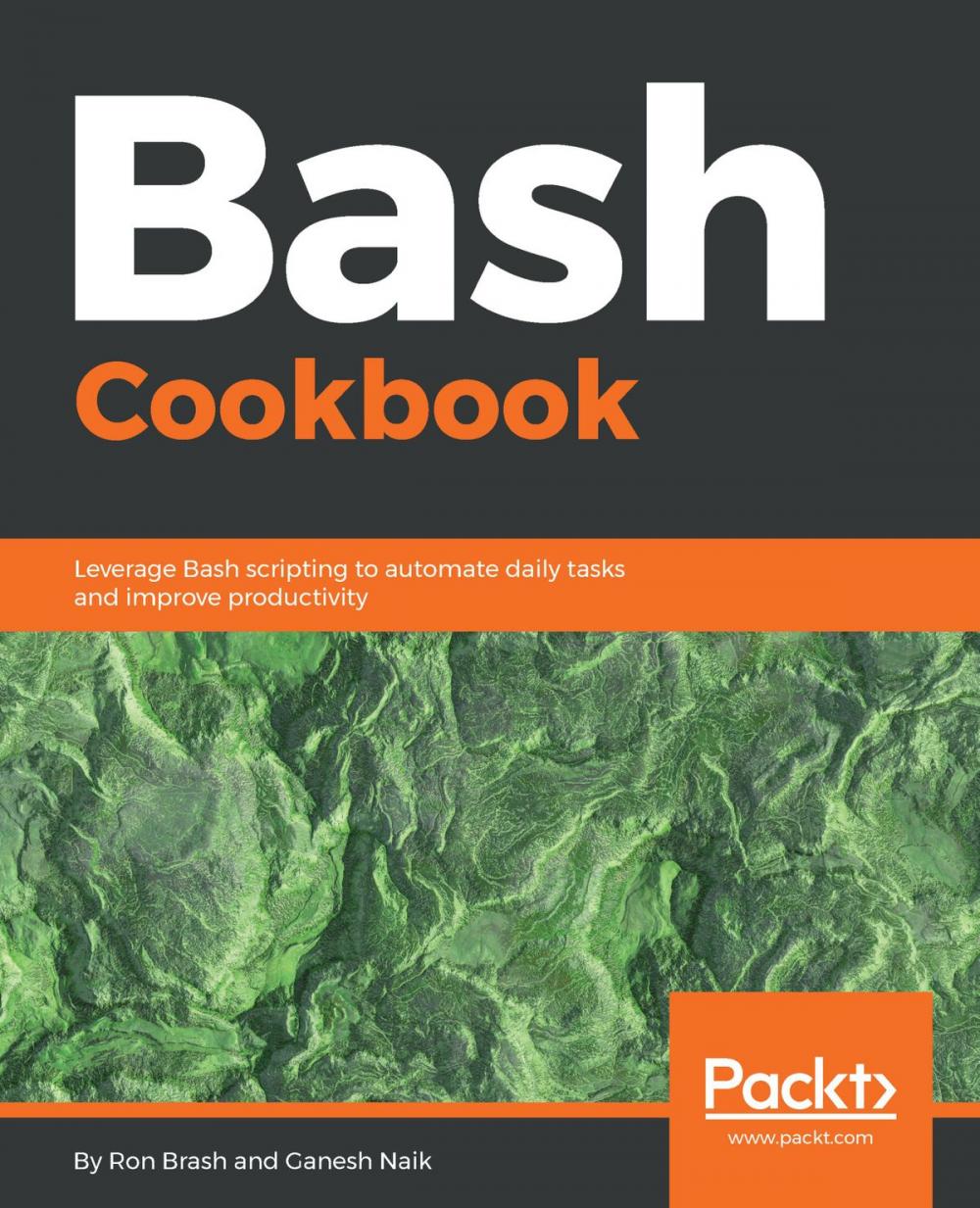 Big bigCover of Bash Cookbook