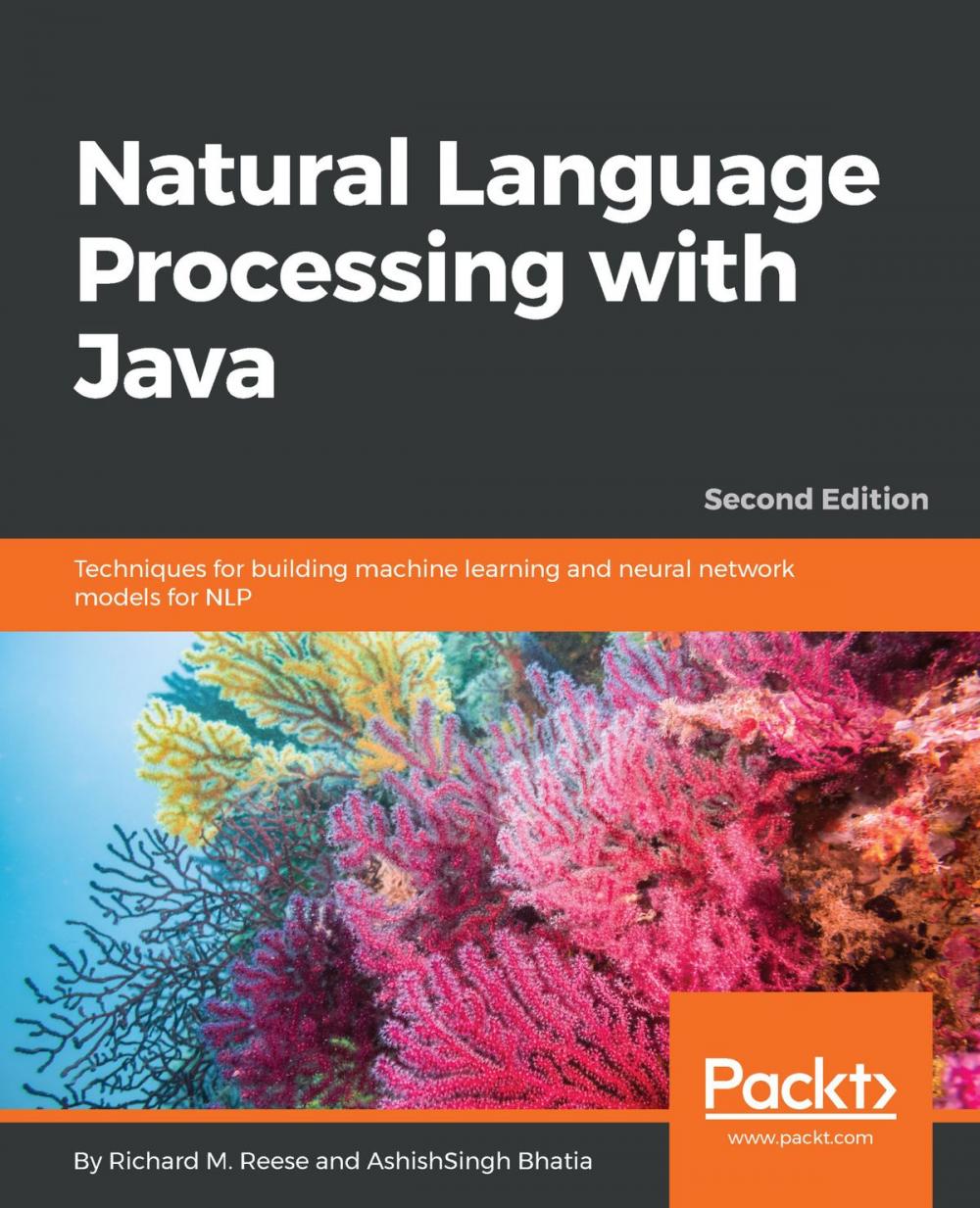 Big bigCover of Natural Language Processing with Java