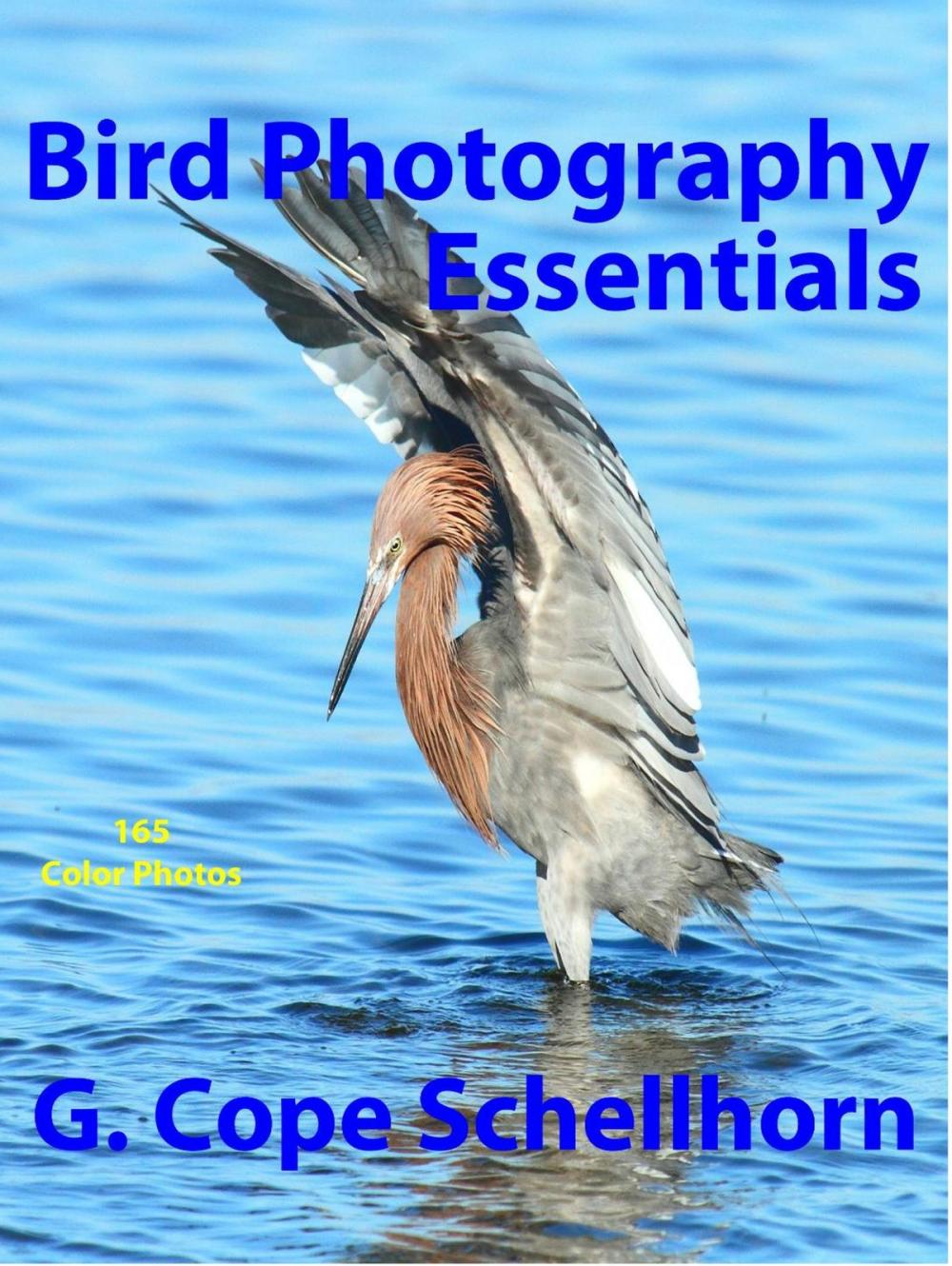 Big bigCover of Bird Photography Essentials