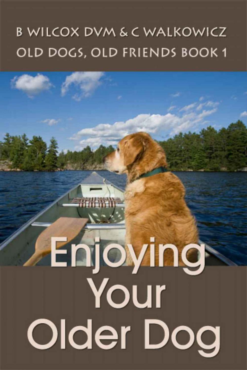 Big bigCover of Enjoying Your Older Dog