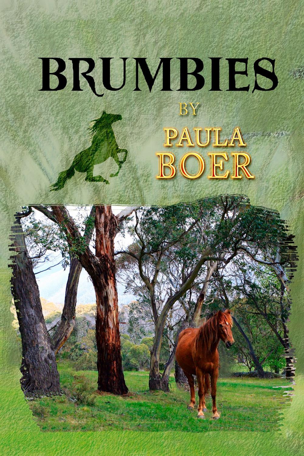 Big bigCover of Brumbies