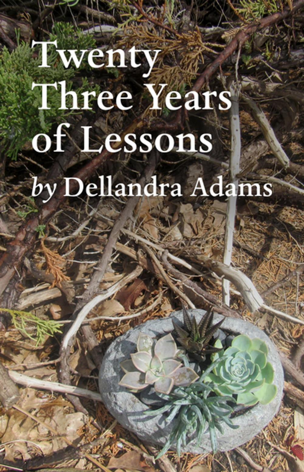 Big bigCover of Twenty Three Years of Lessons