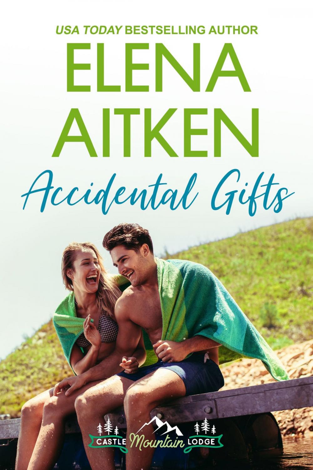 Big bigCover of Accidental Gifts