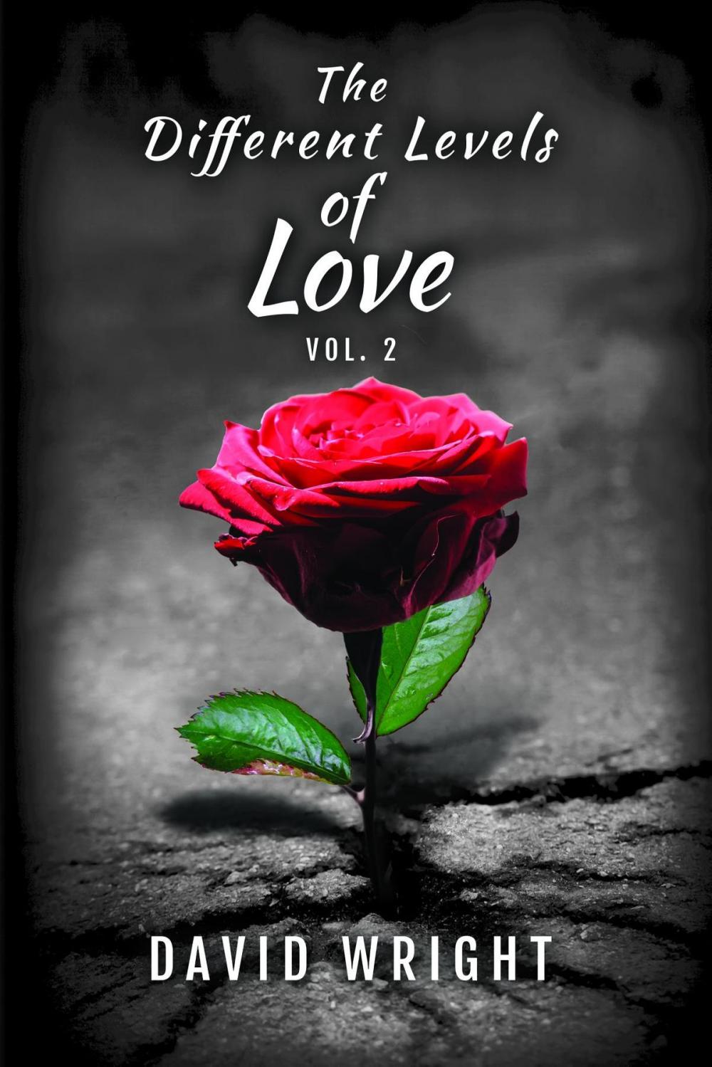 Big bigCover of The Different Levels of Love, Volume 2