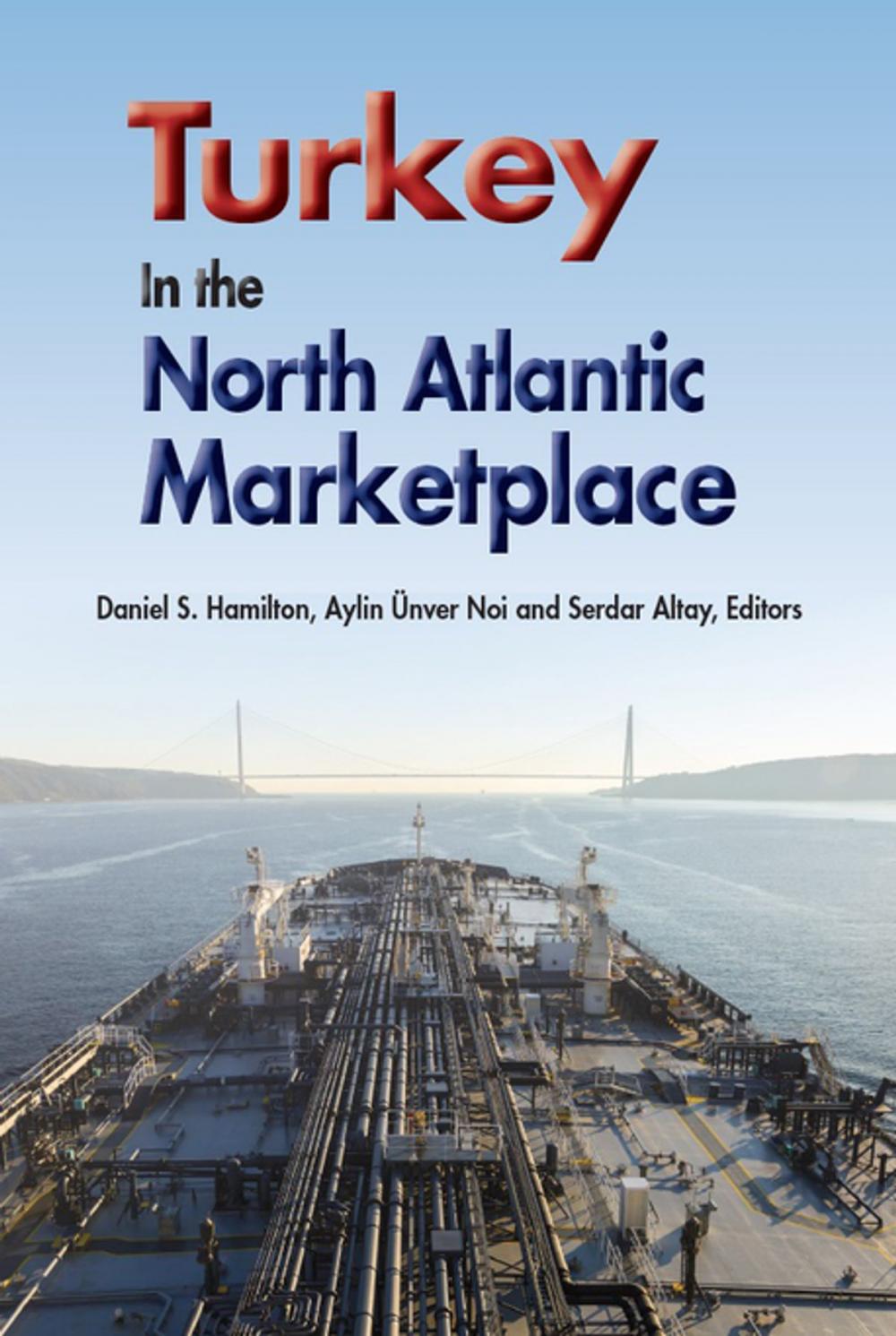 Big bigCover of Turkey in the North Atlantic Marketplace