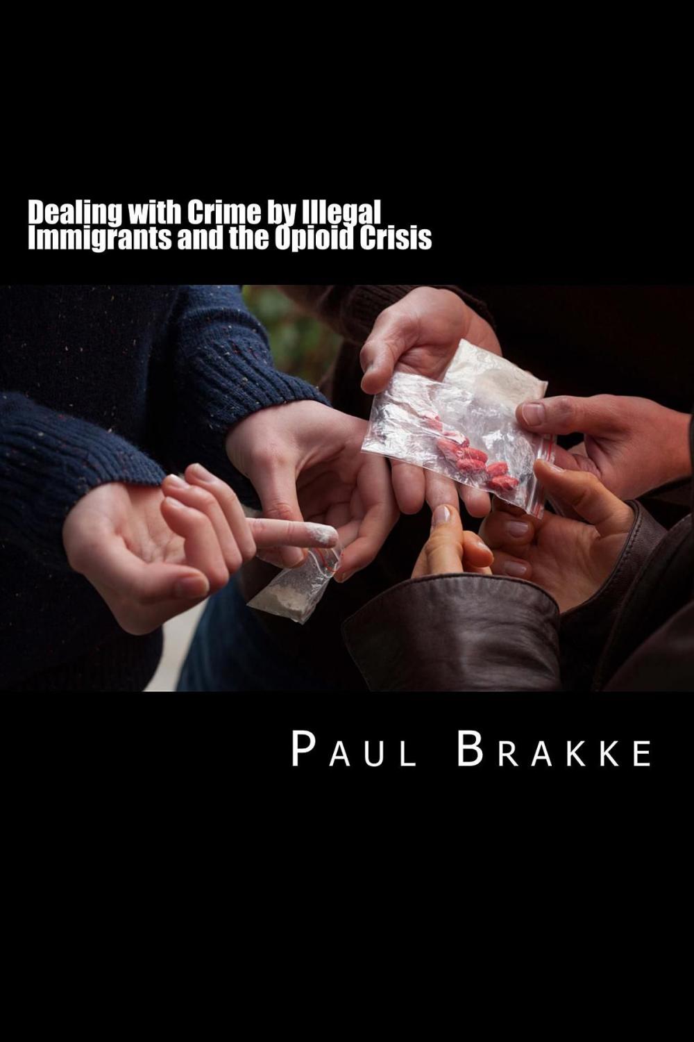 Big bigCover of Dealing with Crime by Illegal Immigrants and the Opioid Crisis