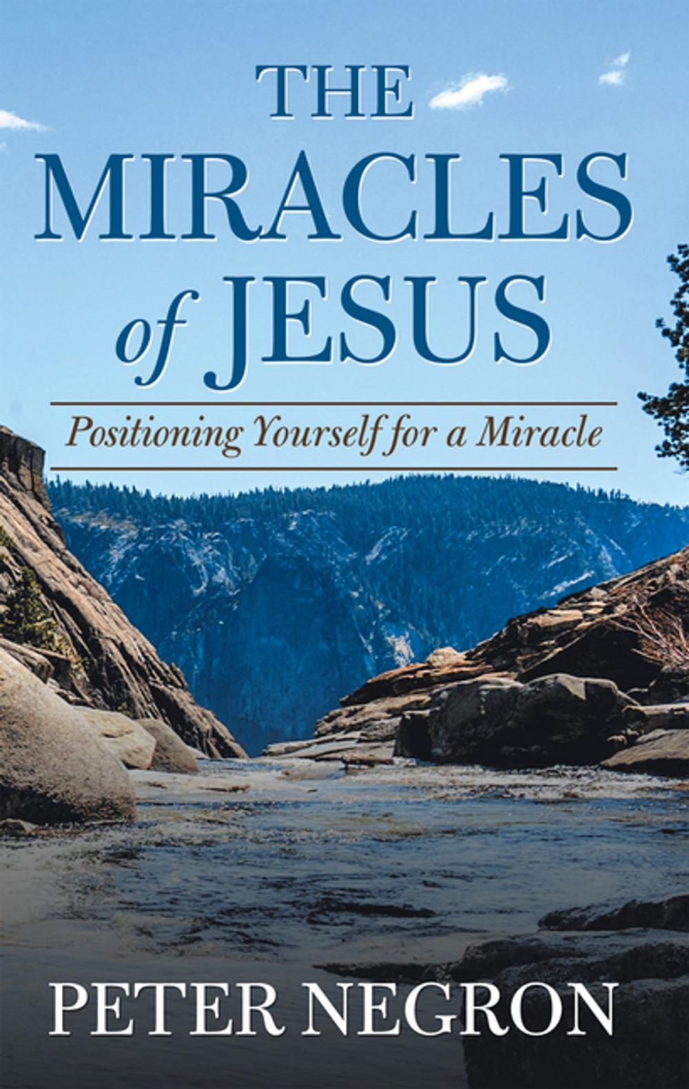 Big bigCover of The Miracles of Jesus