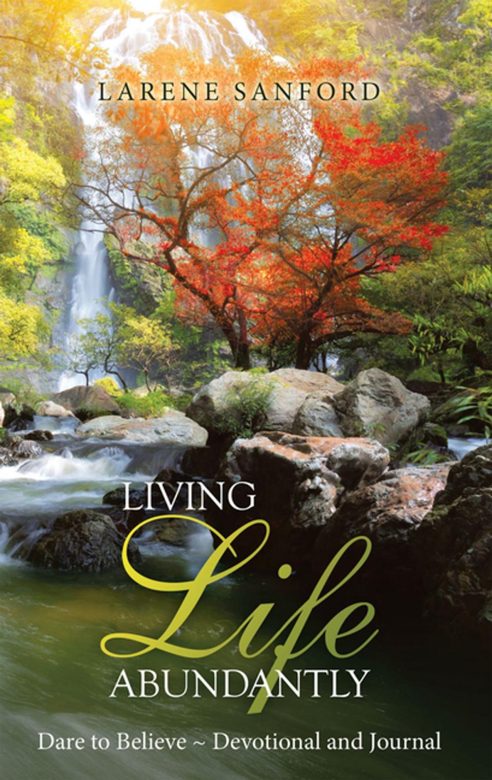 Big bigCover of Living Life Abundantly