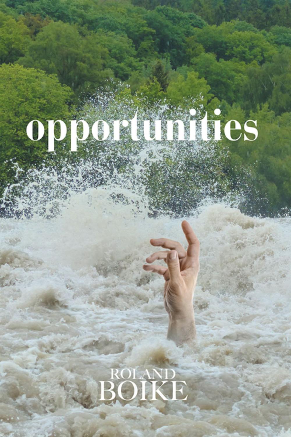 Big bigCover of Opportunities