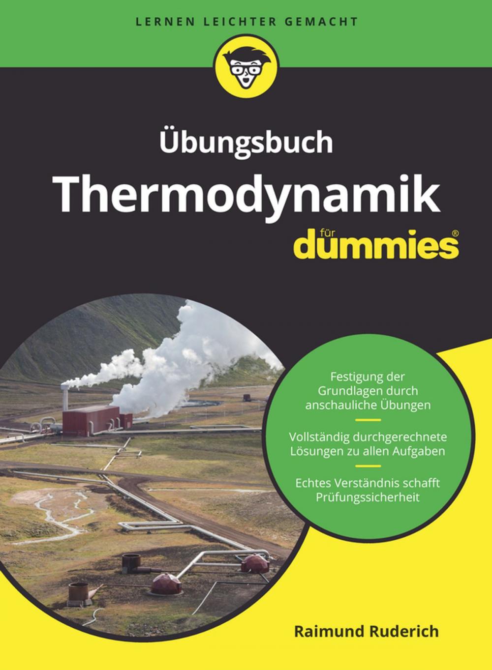 Big bigCover of Übungsbuch Thermodynamik für Dummies