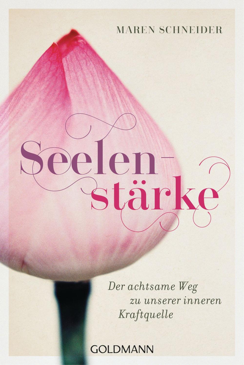 Big bigCover of Seelenstärke