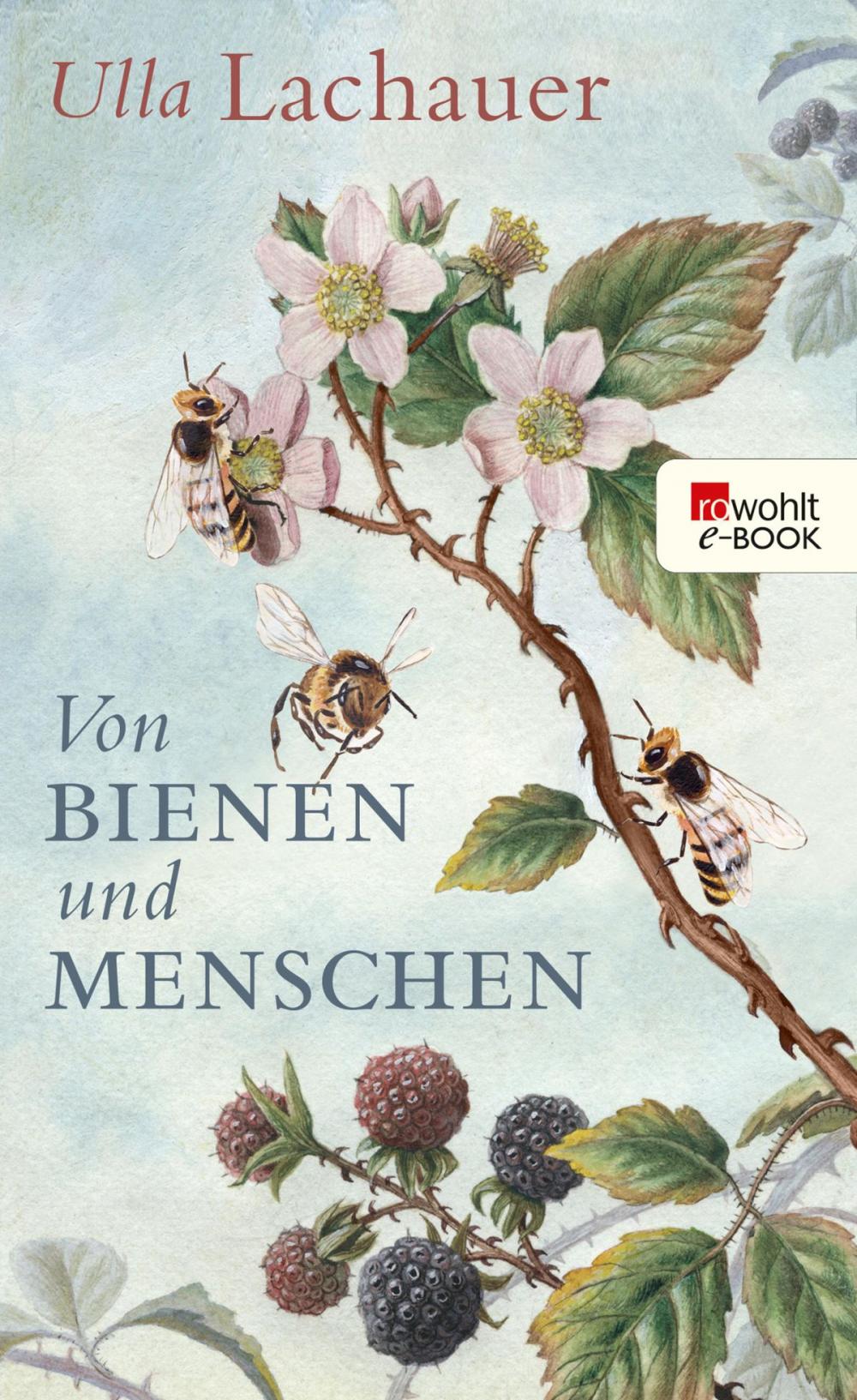 Big bigCover of Von Bienen und Menschen