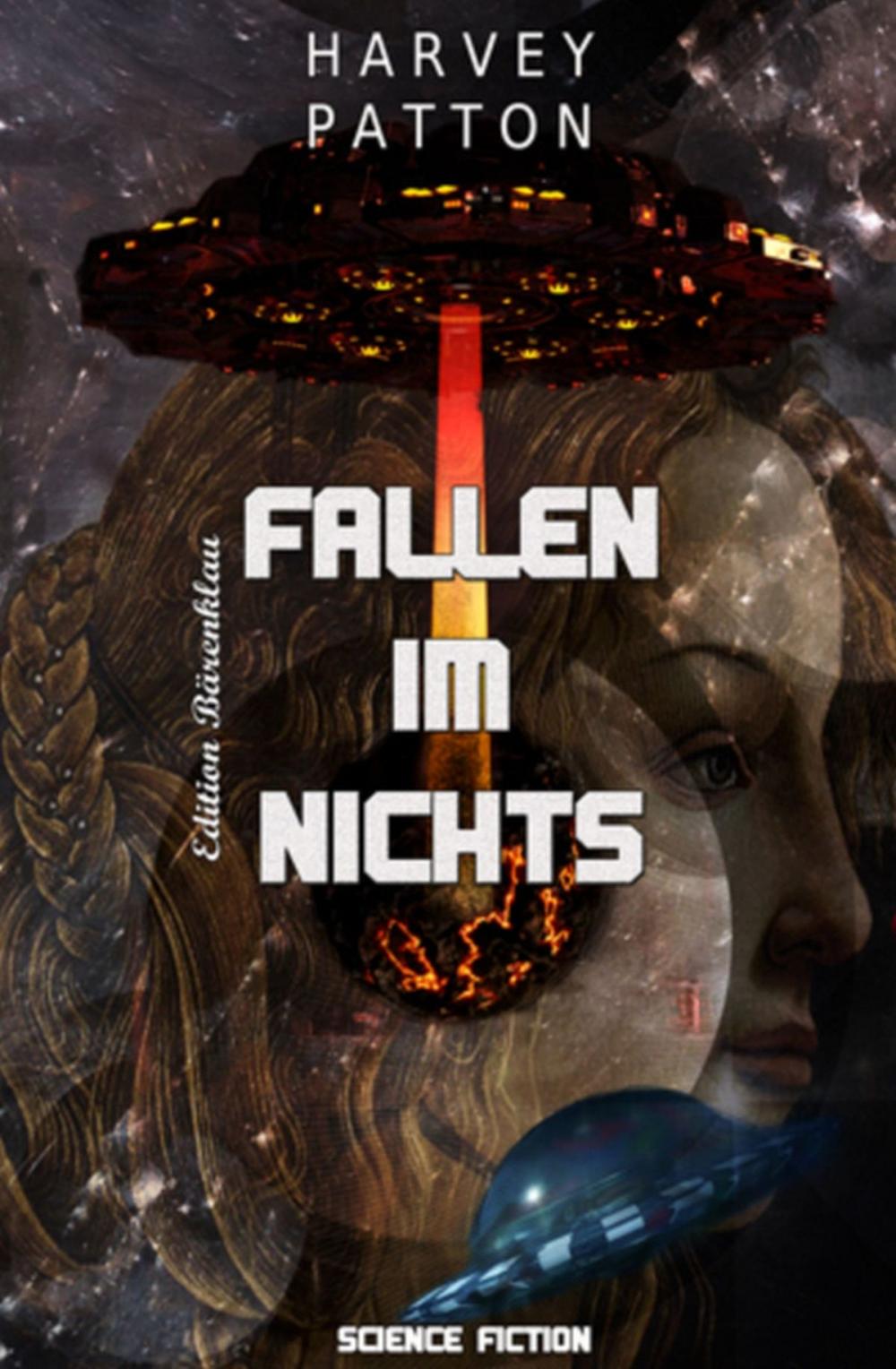 Big bigCover of Fallen im Nichts