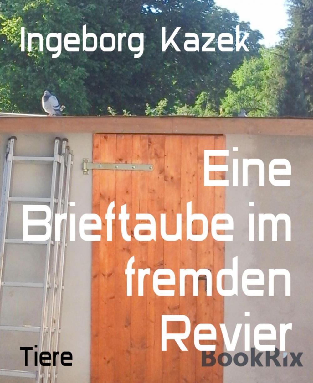 Big bigCover of Eine Brieftaube im fremden Revier