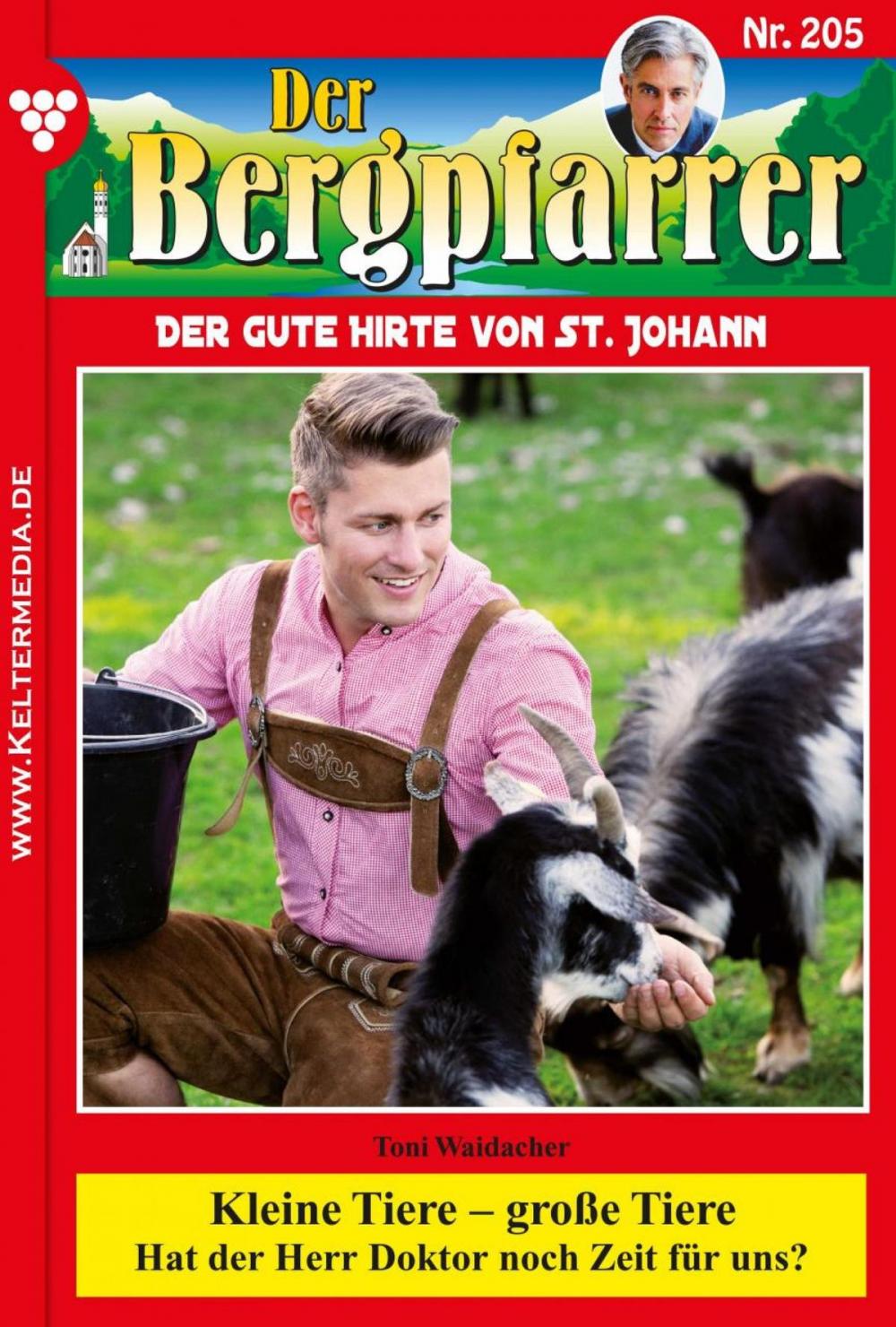 Big bigCover of Der Bergpfarrer 205 – Heimatroman