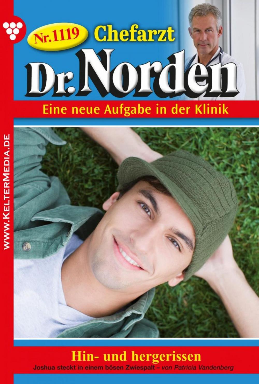 Big bigCover of Chefarzt Dr. Norden 1119 – Arztroman