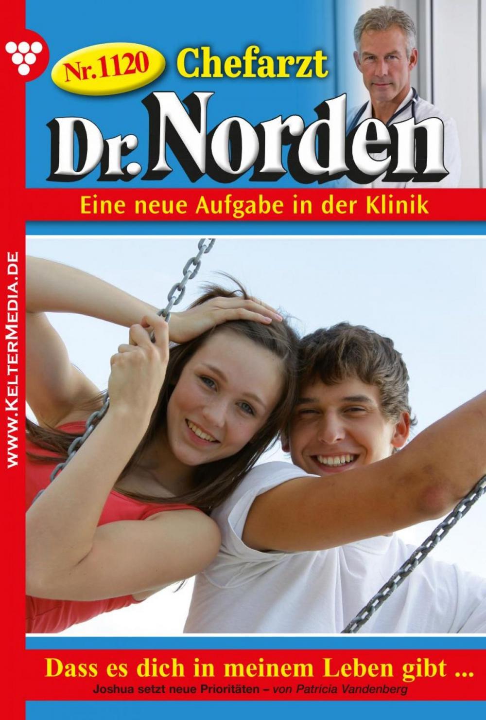 Big bigCover of Chefarzt Dr. Norden 1120 – Arztroman