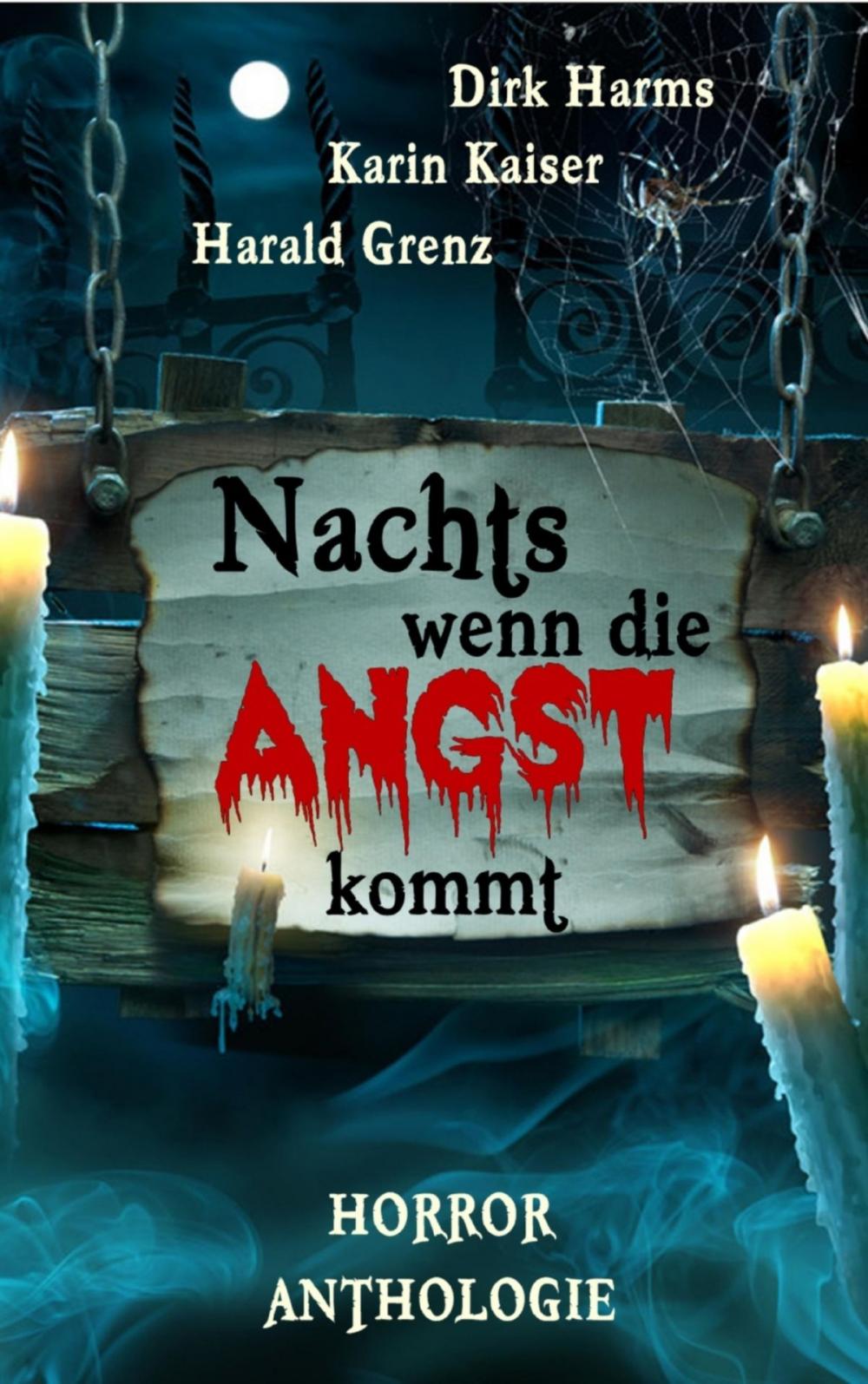 Big bigCover of Nachts wenn die Angst kommt