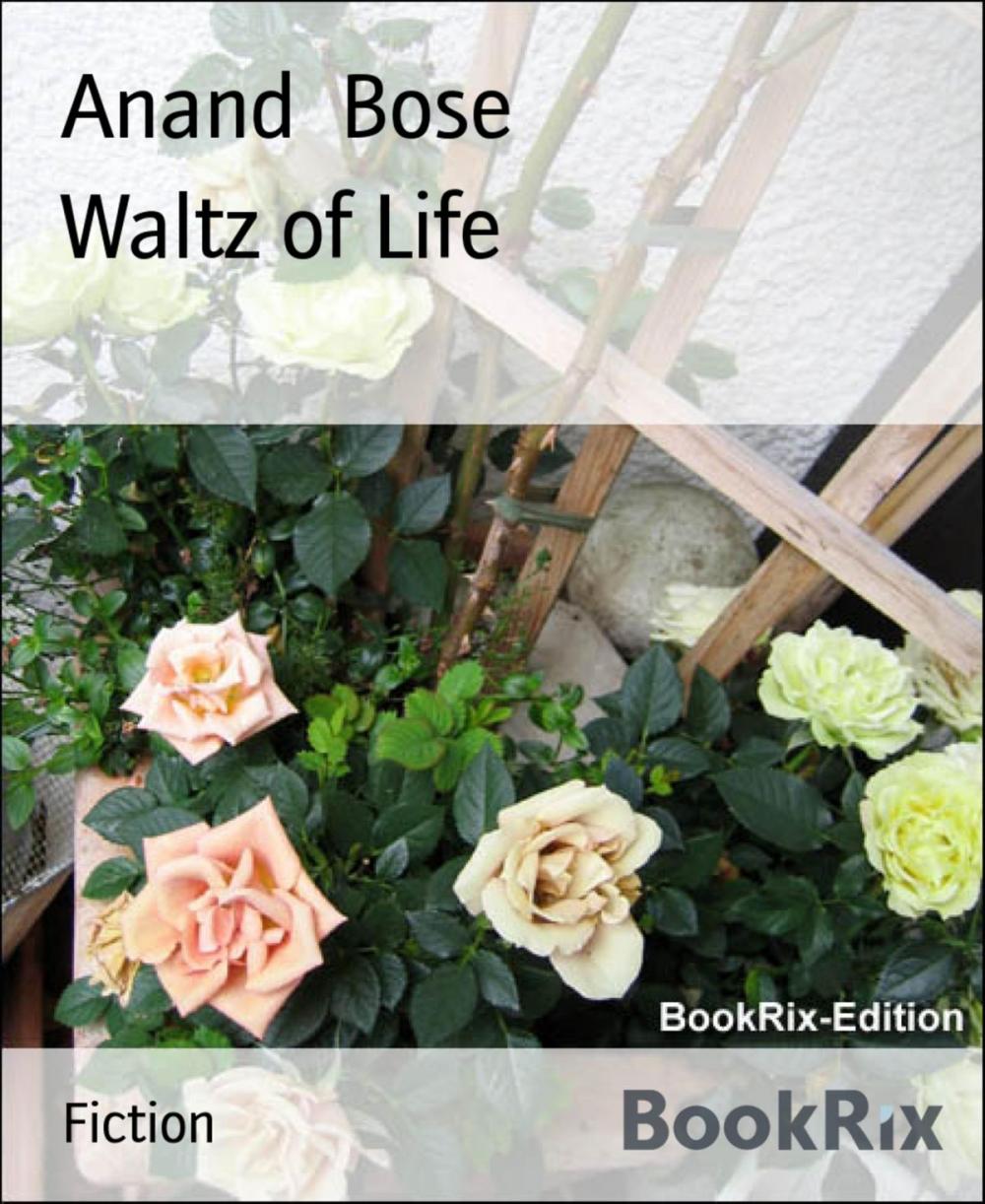 Big bigCover of Waltz of Life