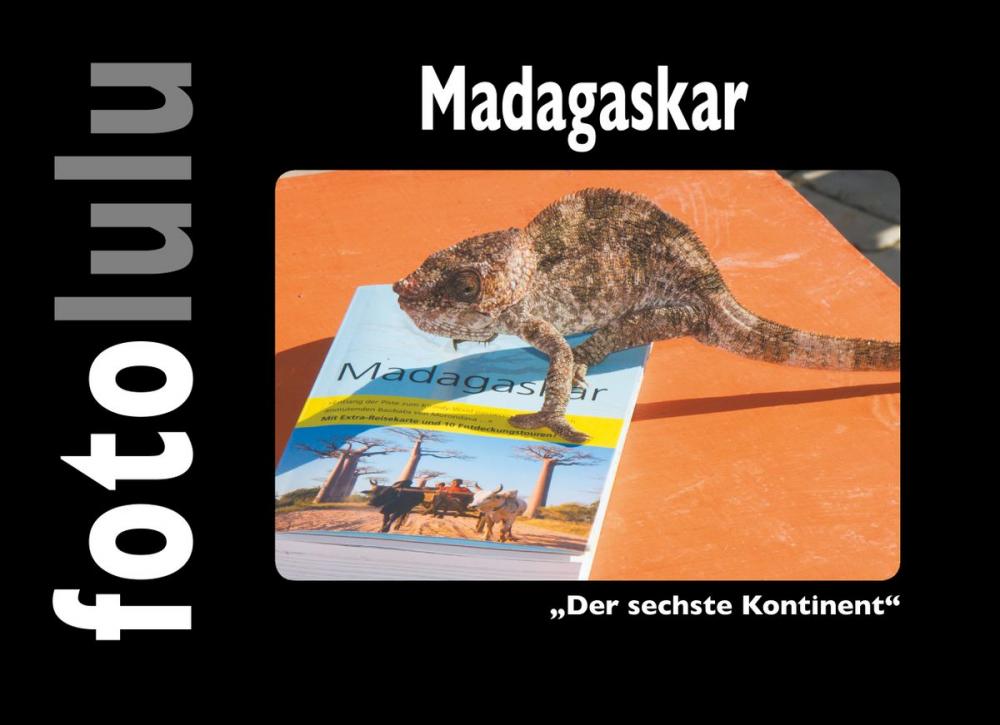 Big bigCover of Madagaskar