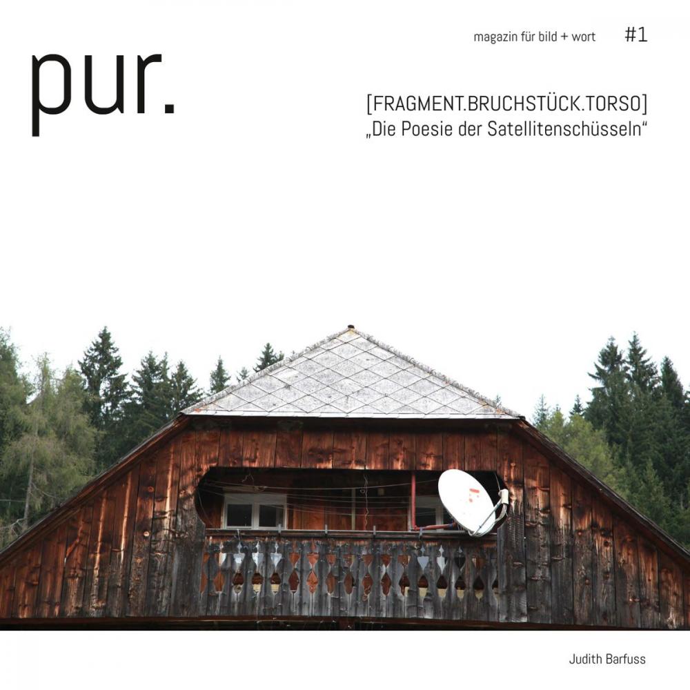 Big bigCover of pur. magazin für bild + wort [#1]