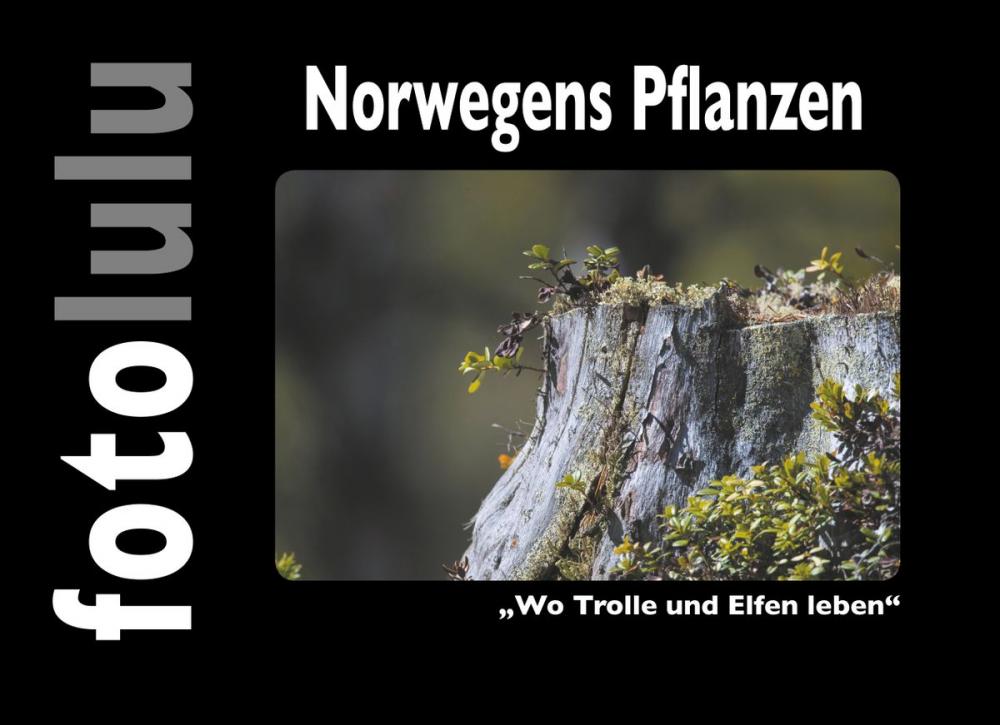 Big bigCover of Norwegens Pflanzen