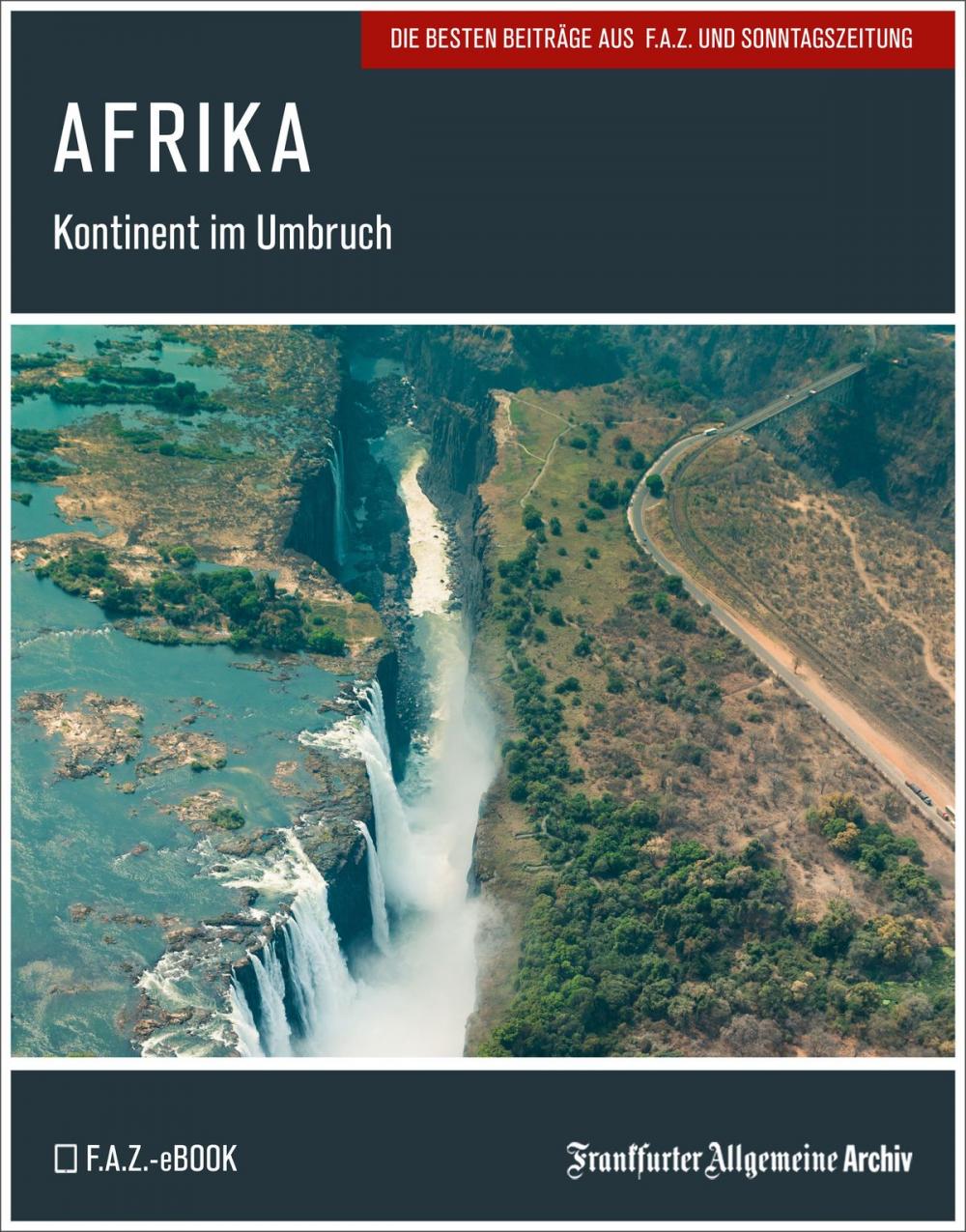 Big bigCover of Afrika