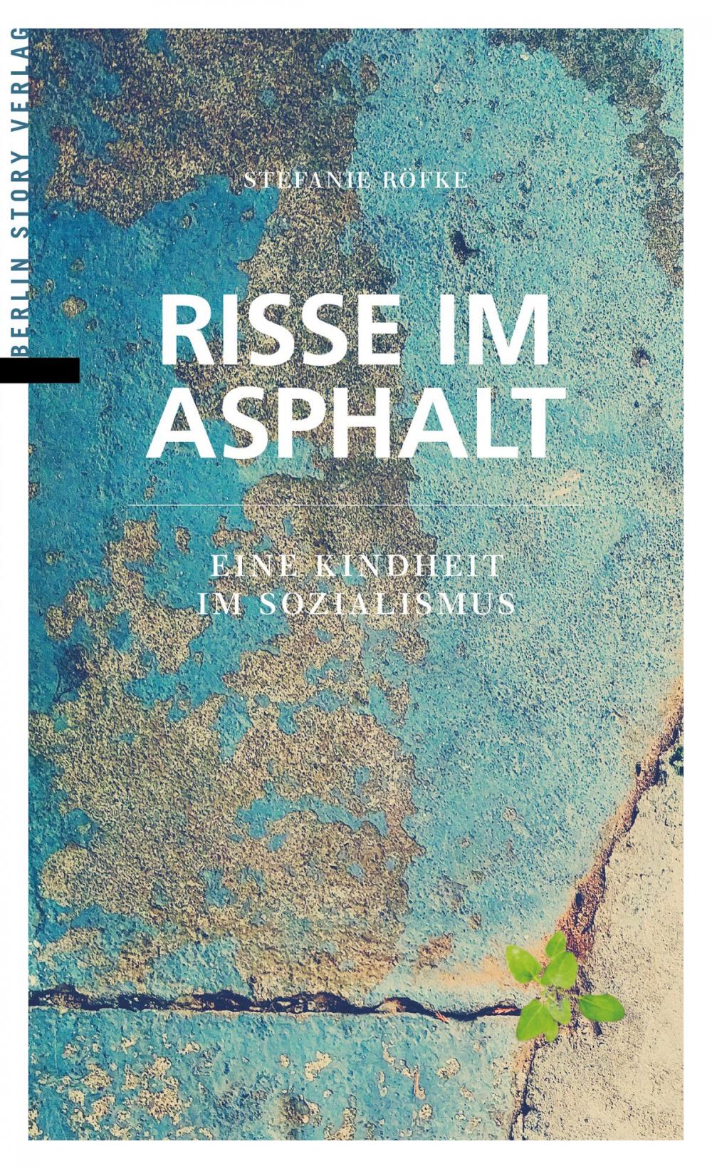 Big bigCover of Risse im Asphalt