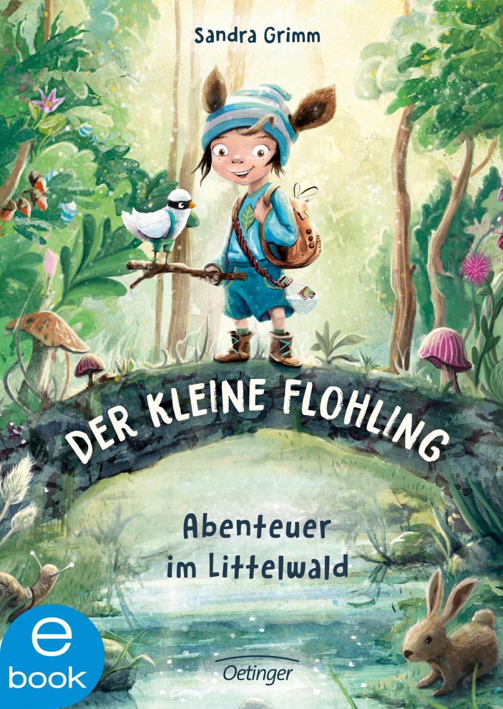 Big bigCover of Der kleine Flohling 1