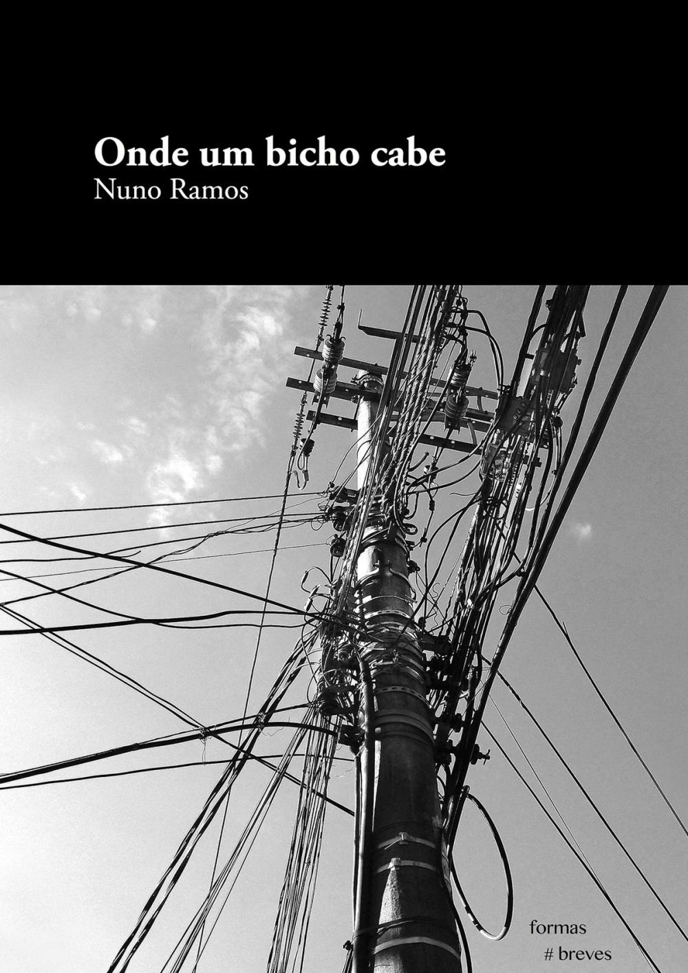 Big bigCover of Onde um bicho cabe