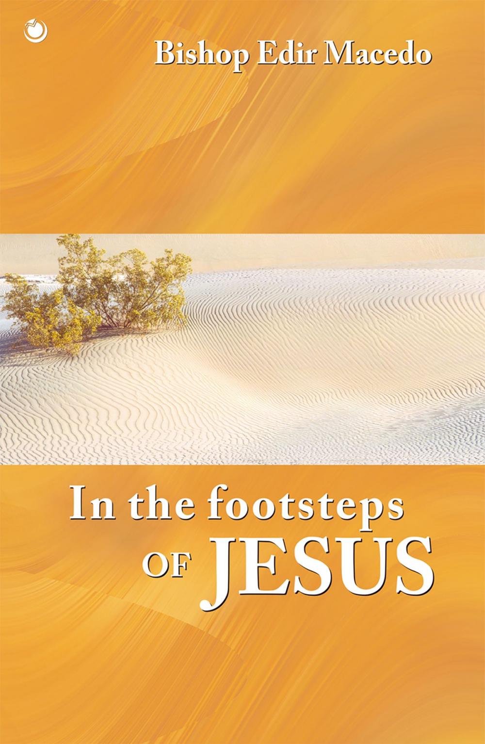 Big bigCover of In the footsteps of Jesus