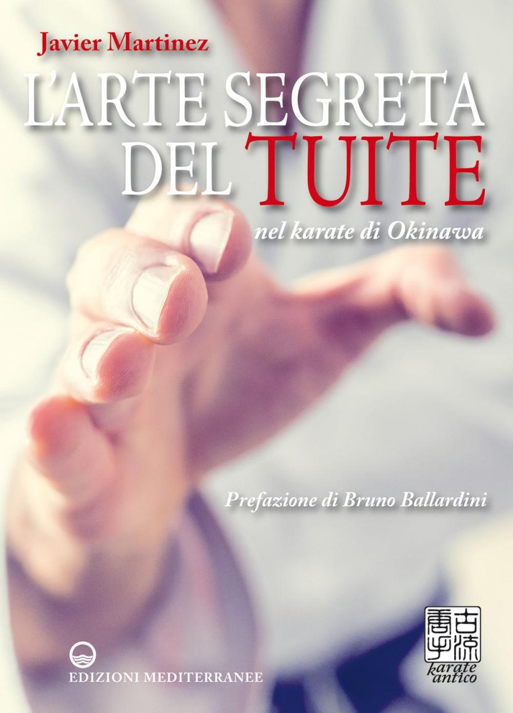 Big bigCover of L'arte segreta del Tuite