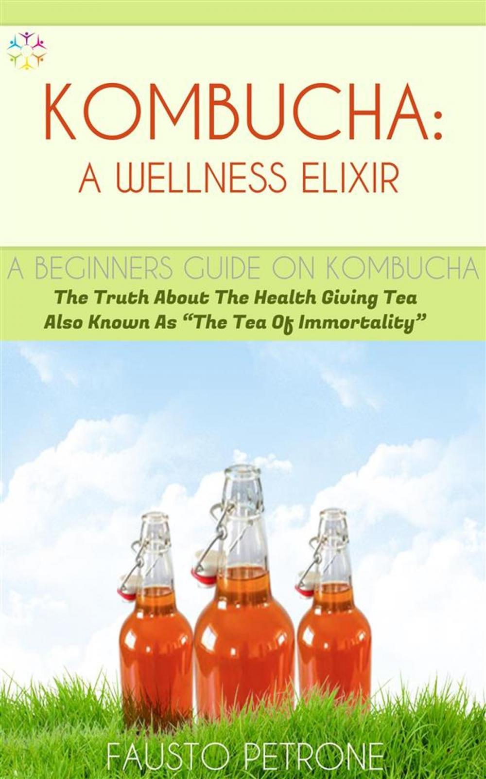 Big bigCover of Kombucha: A Wellness Elixir