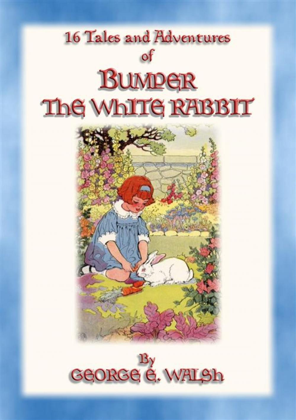 Big bigCover of BUMPER THE WHITE RABBIT - 16 illustrated adventures of Bumper the White Rabbit