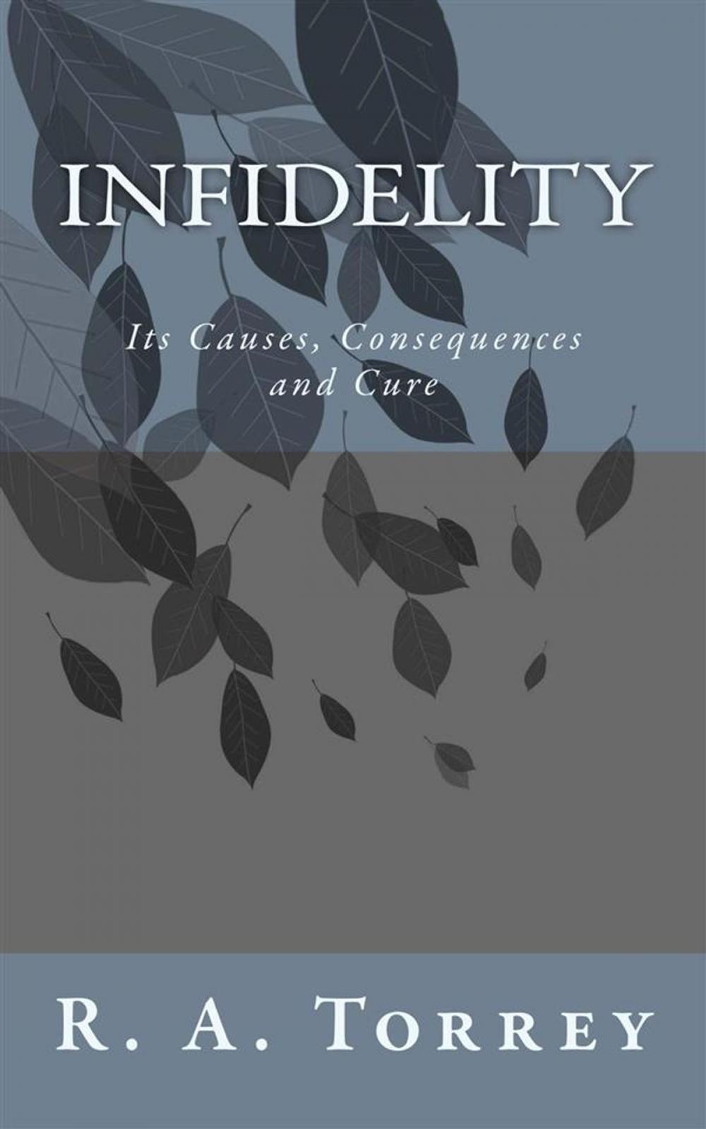 Big bigCover of Infidelity; Its Causes, Consequences and Cure